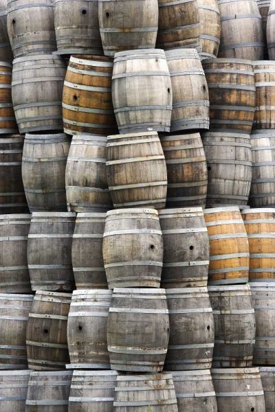 CA, San Luis Obispo Co Stacks of wine barrels